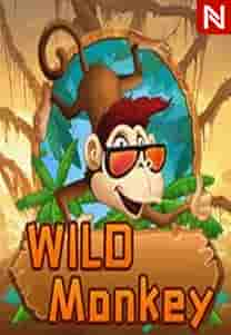 WILDMonkey